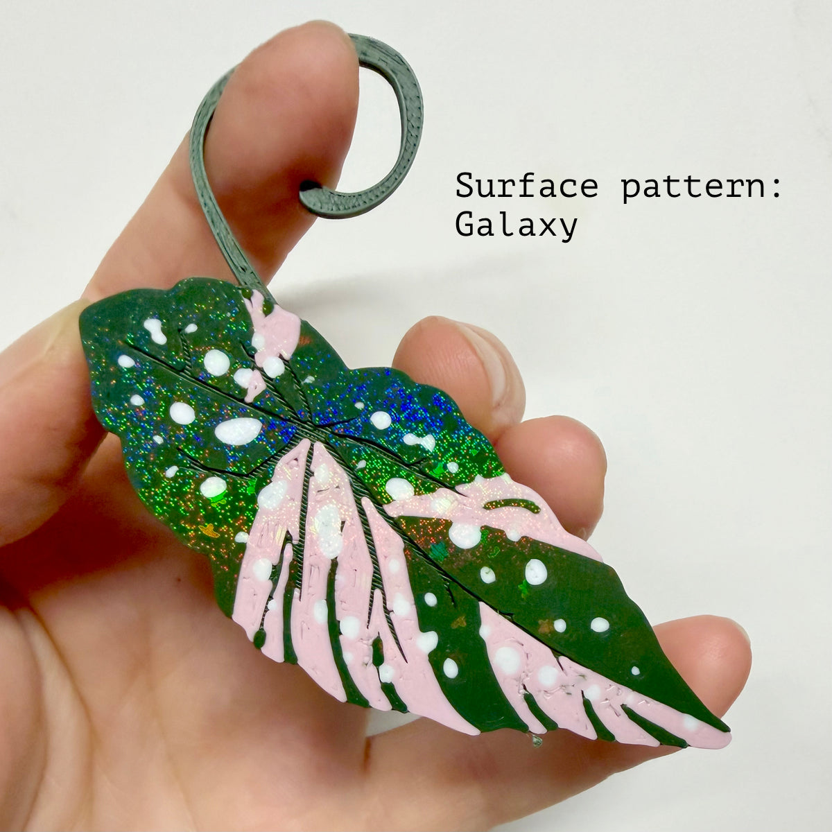 Begonia Maculata Pink Double Sided