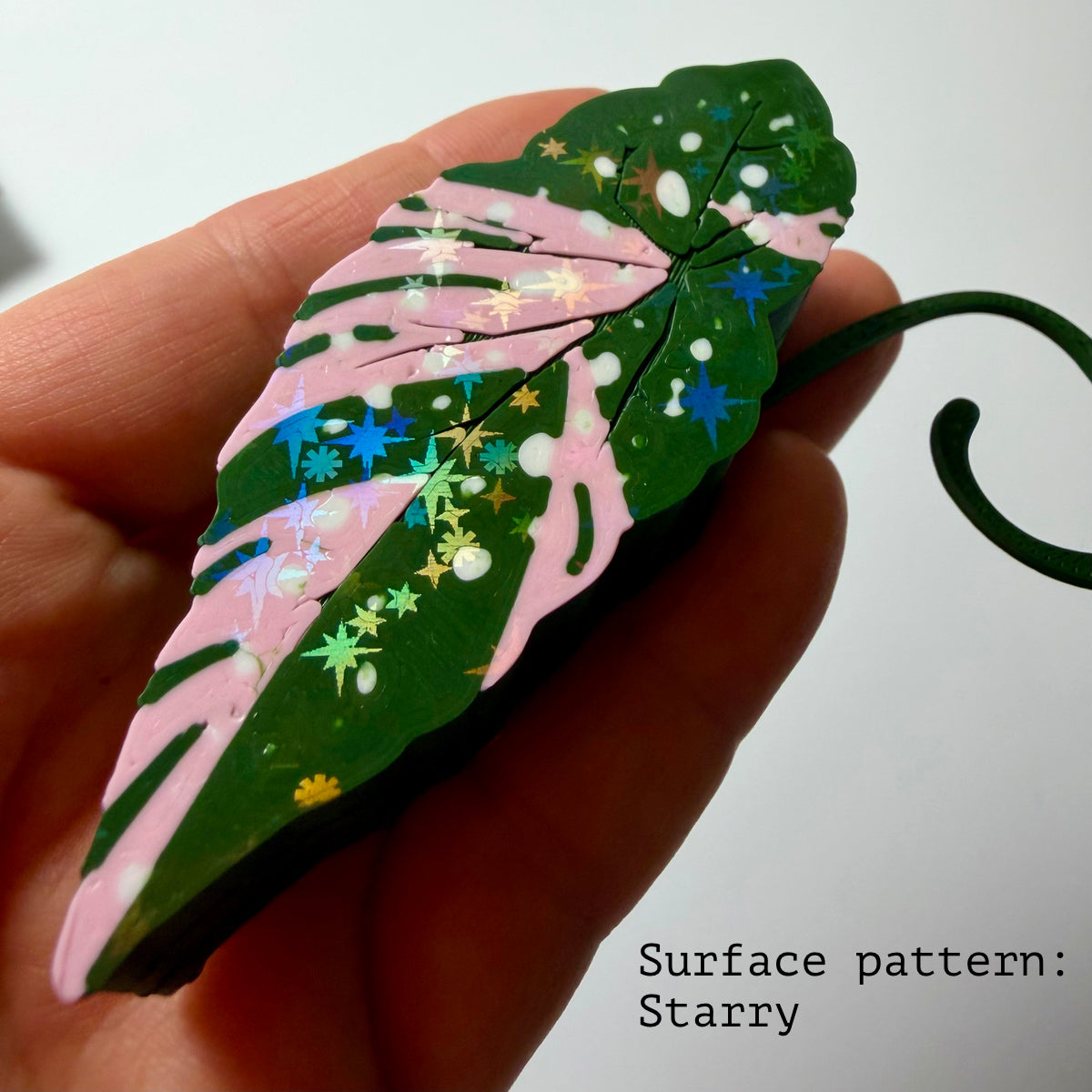 Begonia Maculata Pink Double Sided