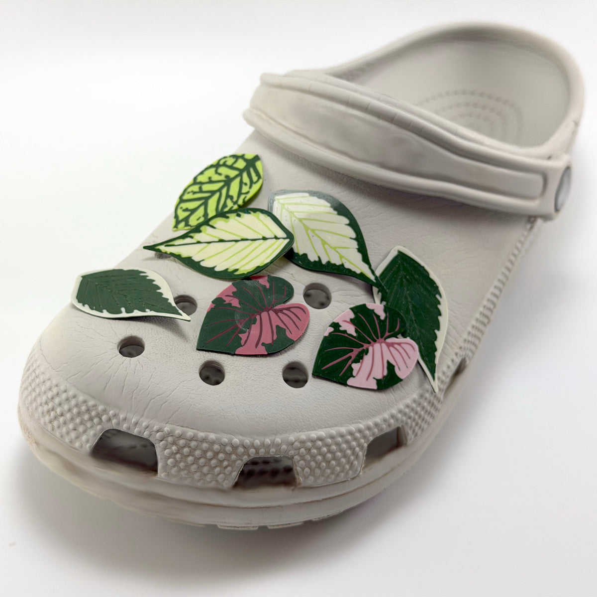 Predapod Leaf Shoe Charm