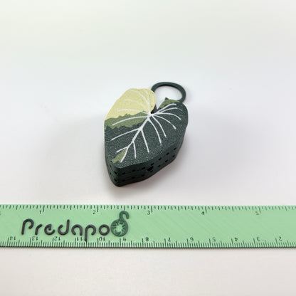 Gloriosum Double Sided