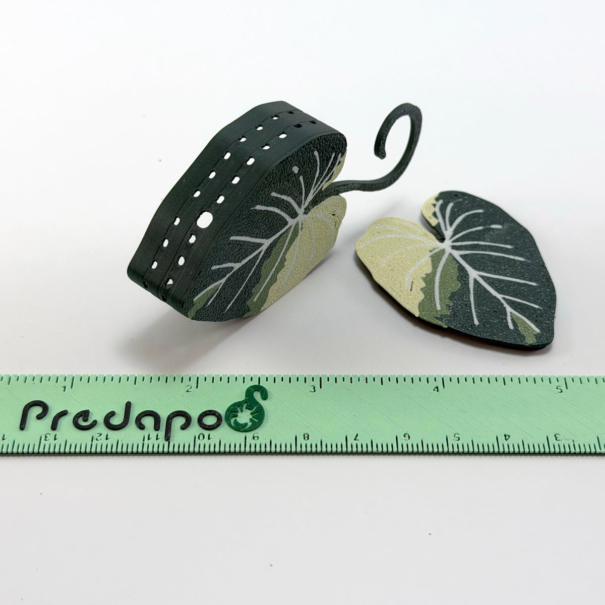 Gloriosum Double Sided