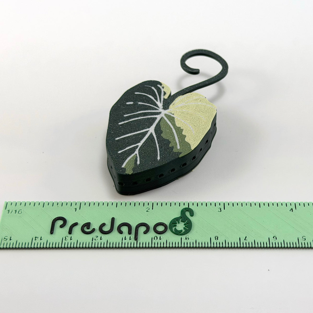 Gloriosum Double Sided