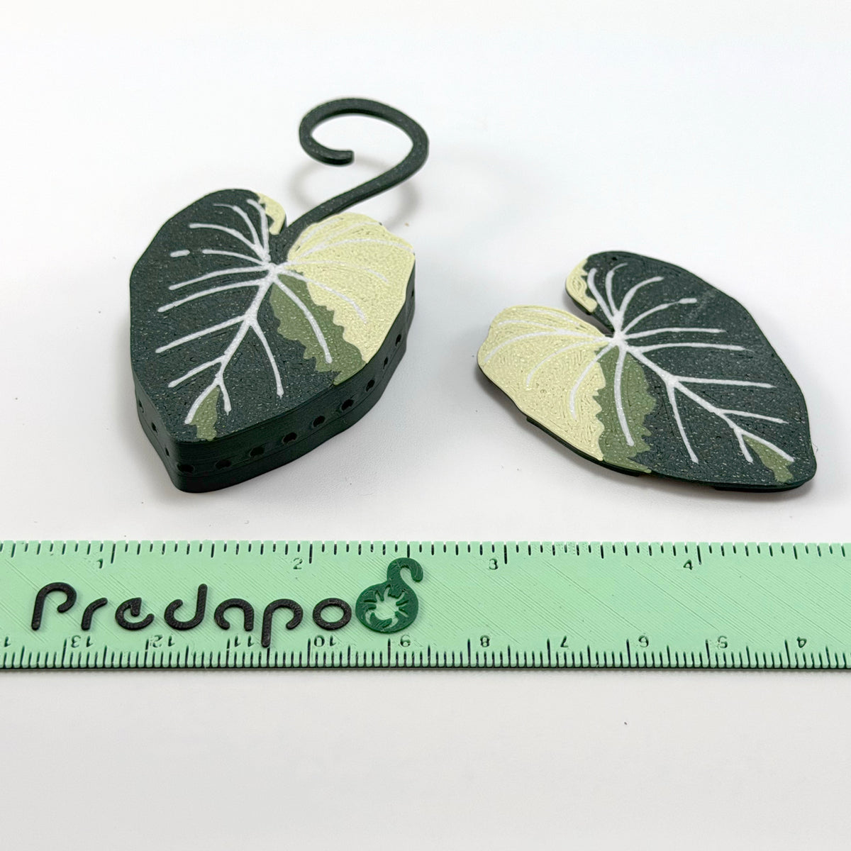 Gloriosum Double Sided