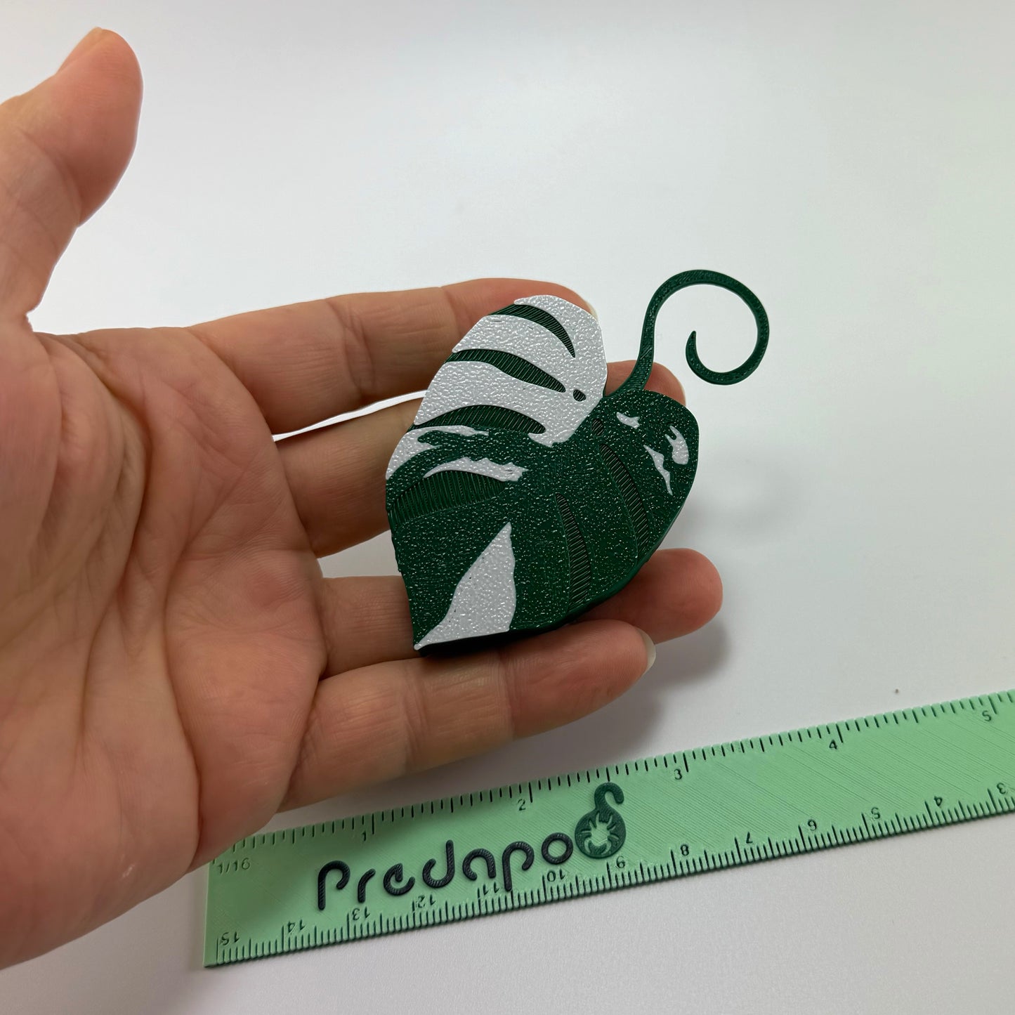 Monstera Albo Double Sided