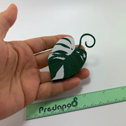 Monstera Albo Double Sided