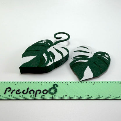 Monstera Albo Double Sided