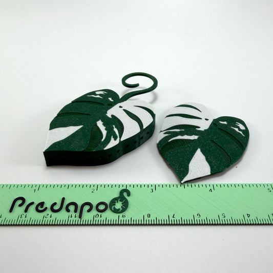 Monstera Albo Double Sided