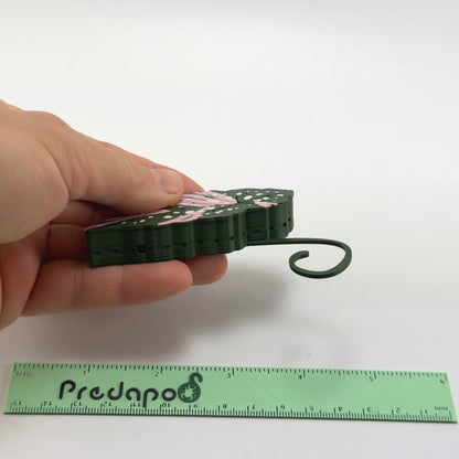 Begonia Maculata Pink