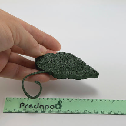 Begonia Maculata Pink