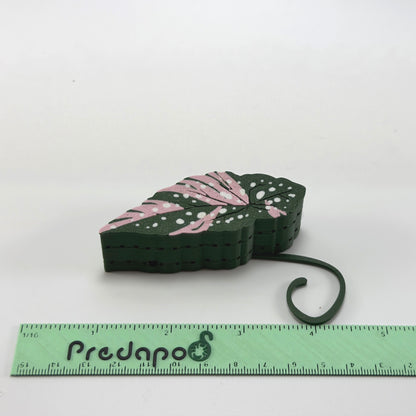 Begonia Maculata Pink