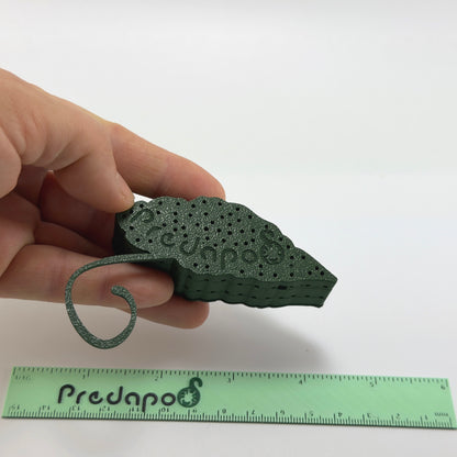 Begonia Maculata Pink