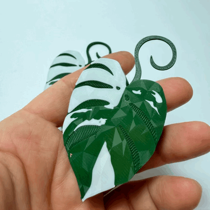 Monstera Albo Double Sided