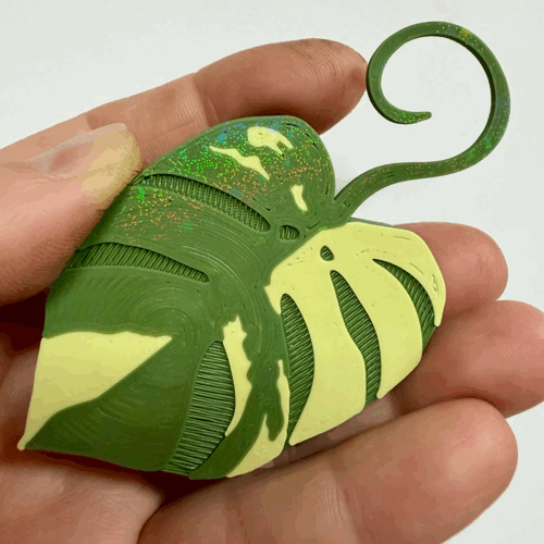 Monstera Aurea Double Sided