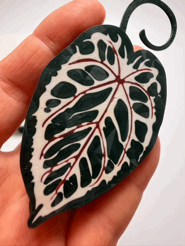 Green Anthurium Double Sided