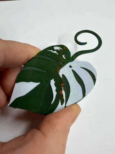 Monstera Albo Double Sided