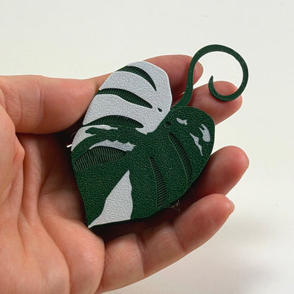 Monstera Albo Double Sided