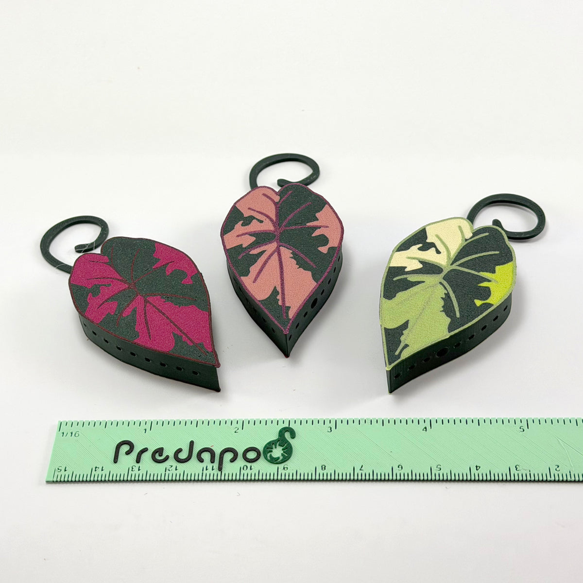 Plumbea Predapod
