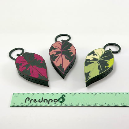 Plumbea Predapod