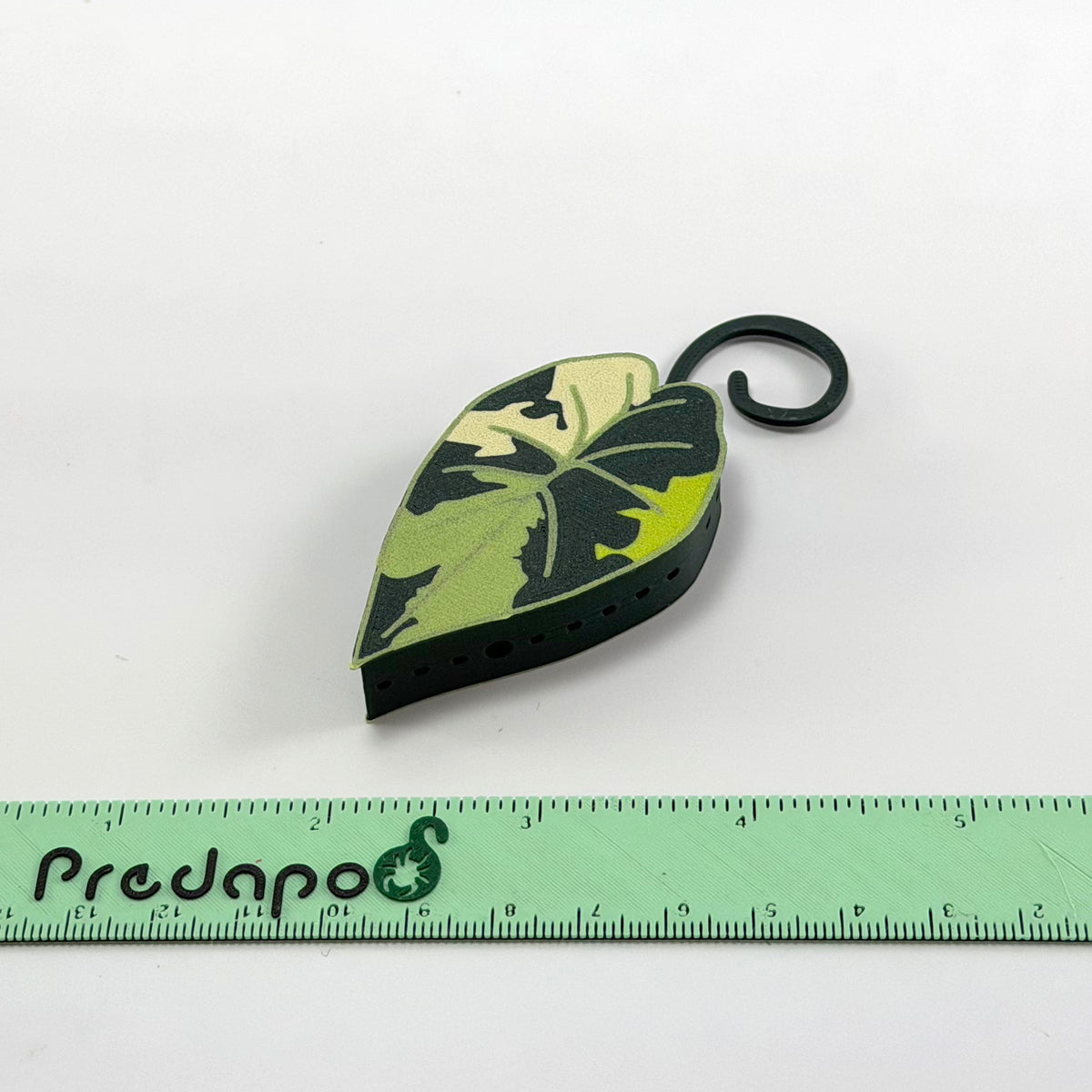 Plumbea Predapod