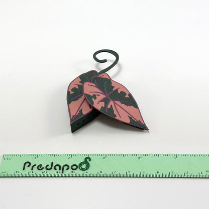 Plumbea Predapod