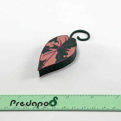 Plumbea Predapod