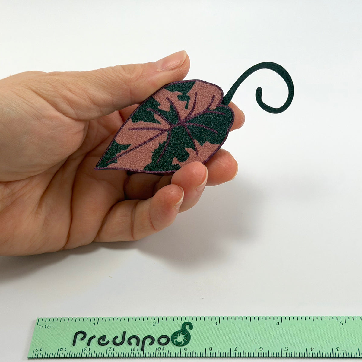 Plumbea Predapod