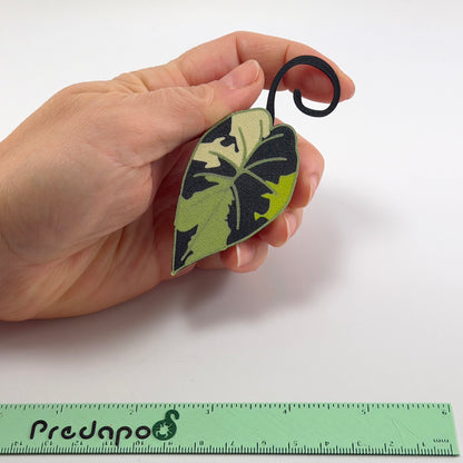 Plumbea Predapod