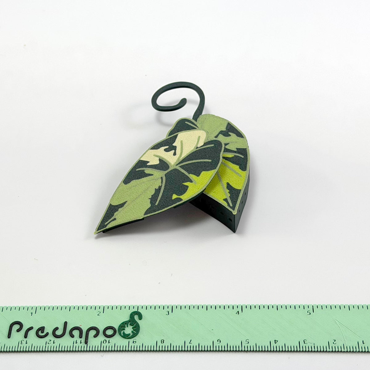 Plumbea Predapod