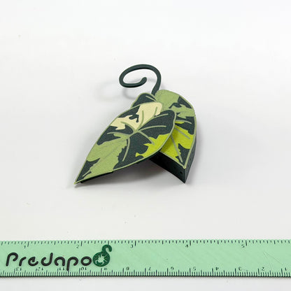 Plumbea Predapod