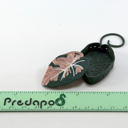 Rose Gold Black Velvet Basic