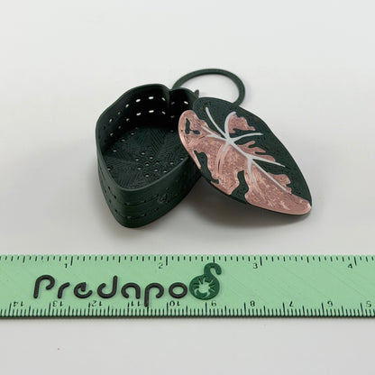 Rose Gold Black Velvet Basic