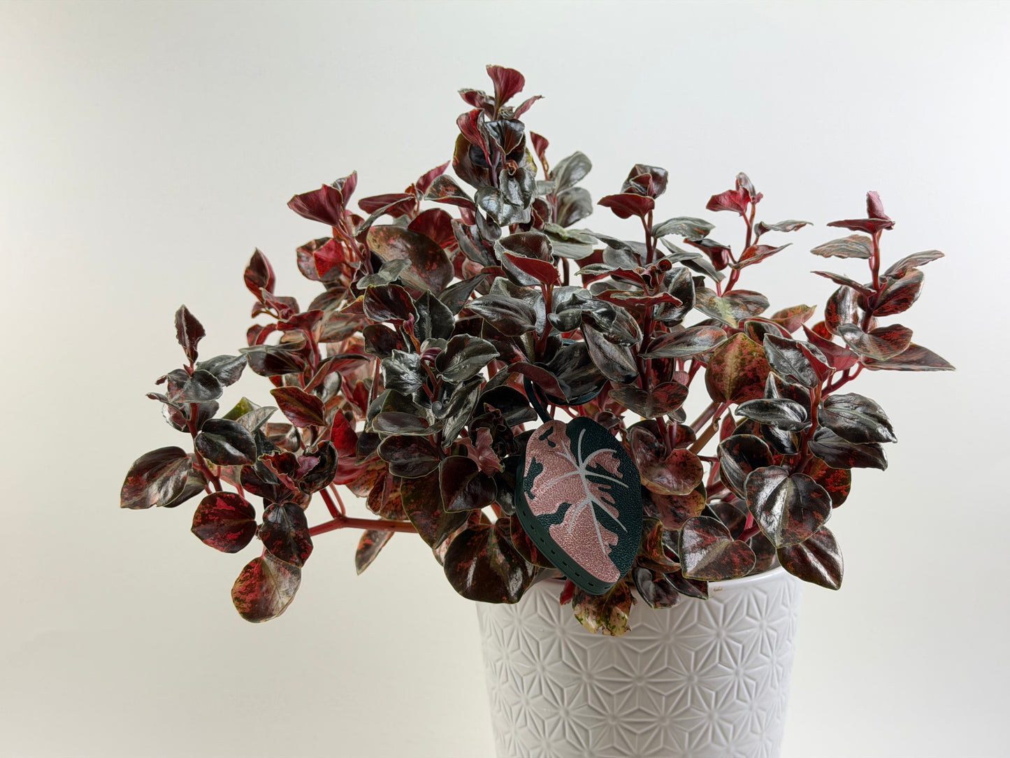 Rose Gold Black Velvet Double sided