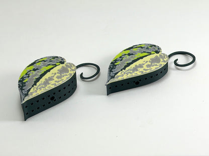 Scindapsus Sentarum Basic