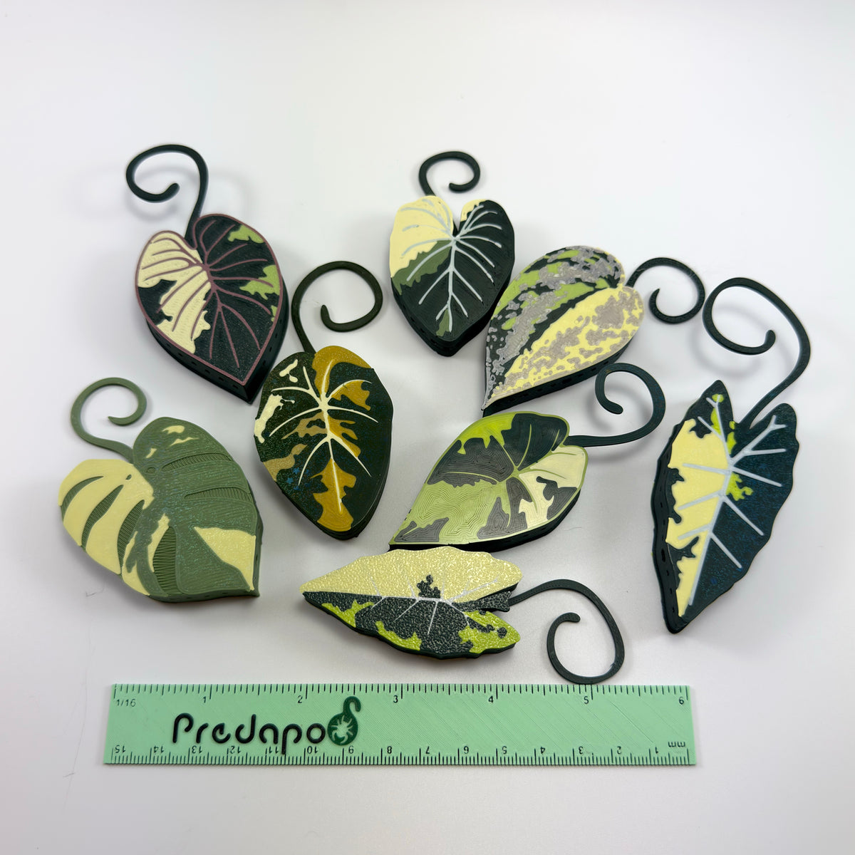 Aurea bundle of 6