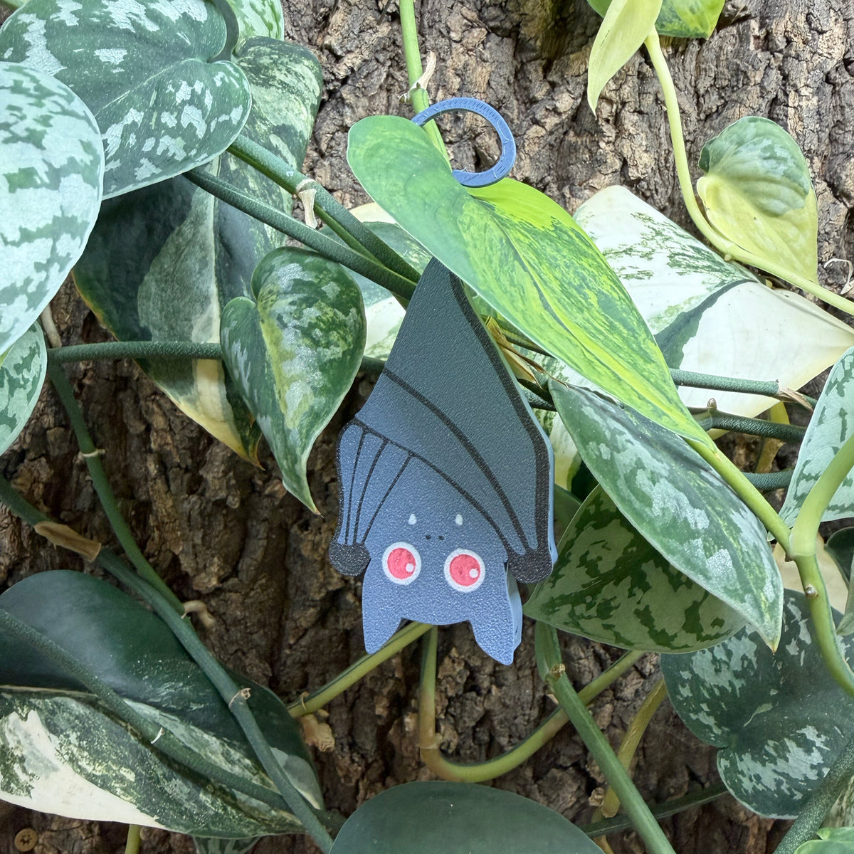Bat