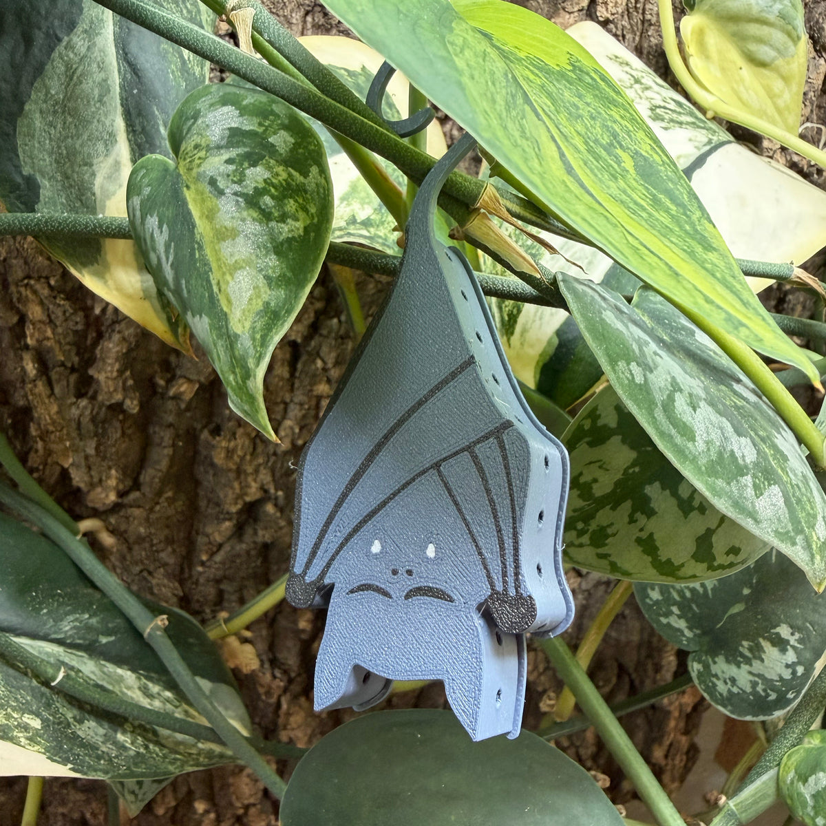 Bat