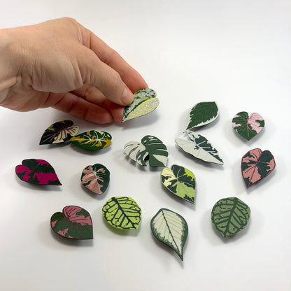 Predapod Leaf Shoe Charm